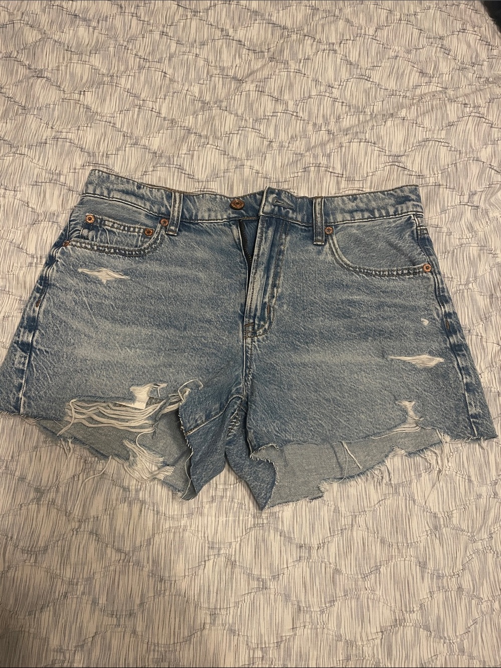 American Eagle Outfitters Distressed Light Blue Denim Cutoff Shorts